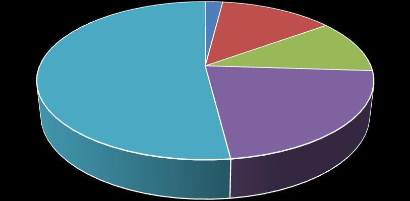 2% 52% 13% 11% 22% καθόλου λίγο αρκετά πολύ πάρα πολύ Διάγραμμα 10.