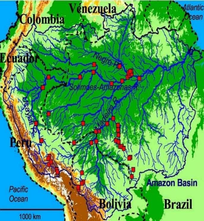 ΑΜΑΖΟΝΙΟΣ ο πνεύμονας της Γης Ο Αμαζόνιος υδροδοτεί το απέραντο τροπικό δάσος της Νοτιοαμερικανικής ηπείρου, μεταφέροντας συνολικά το ένα πέμπτο (1/5) του γλυκού νερού που κυκλοφορεί πάνω στη γη.