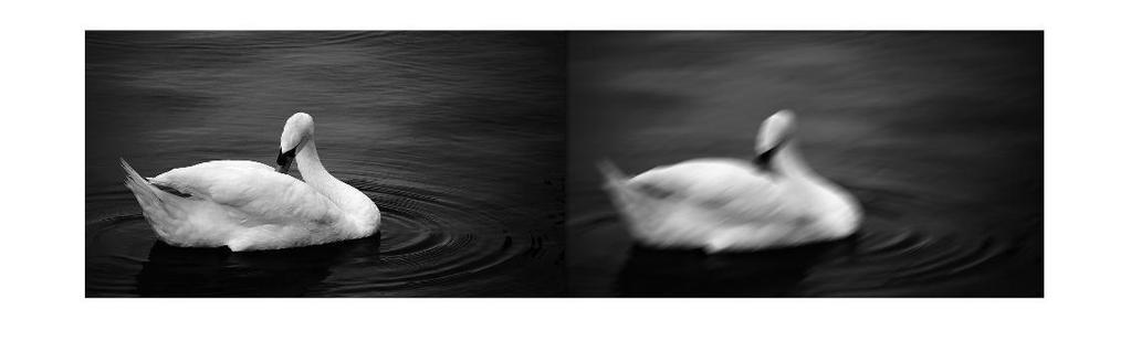 φίλτρου motion σε