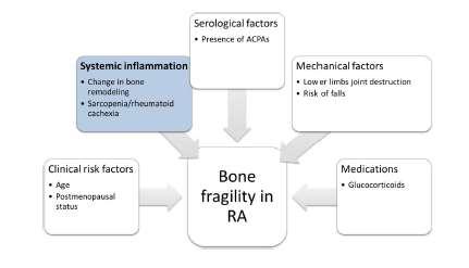 Bone fragility in patients with rheumatoid