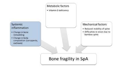 Bone fragility in patients with SpA