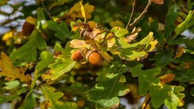 Παραδείγματα Δράσεων Επικοινωνίας 3.