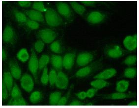 Molecular-based assays available