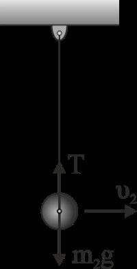 Δ3. Η τροχιά πο θα διαγράψει το σφαιρίδιο μάζας m είναι κκλική, οπότε η σνιστάμενη δύναμη στην διεύθνση το νήματος παίζει τον ρόλο της κεντρομόλο.