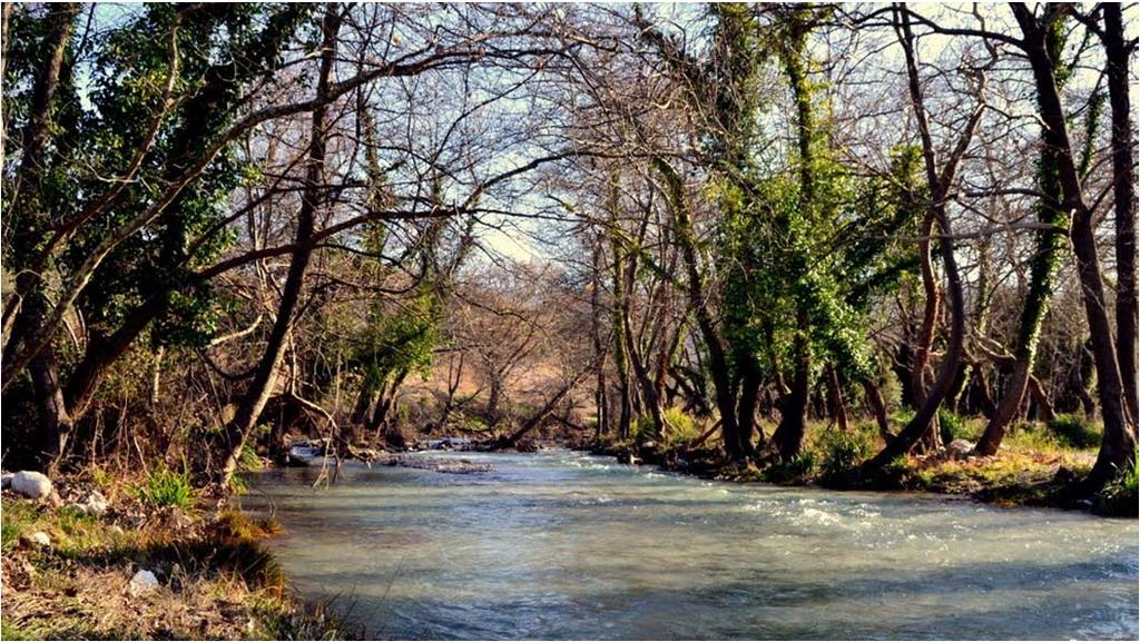 ΜΟΝΤΕΛΟΥ SWAT ΓΙΑ ΤΗΝ ΠΡΟΣΟΜΟΙΩΣΗ ΤΗΣ ΠΑΡΟΧΗΣ ΤΟΥ ΠΟΤΑΜΟΥ ΠΕΙΡΟΥ Ν.