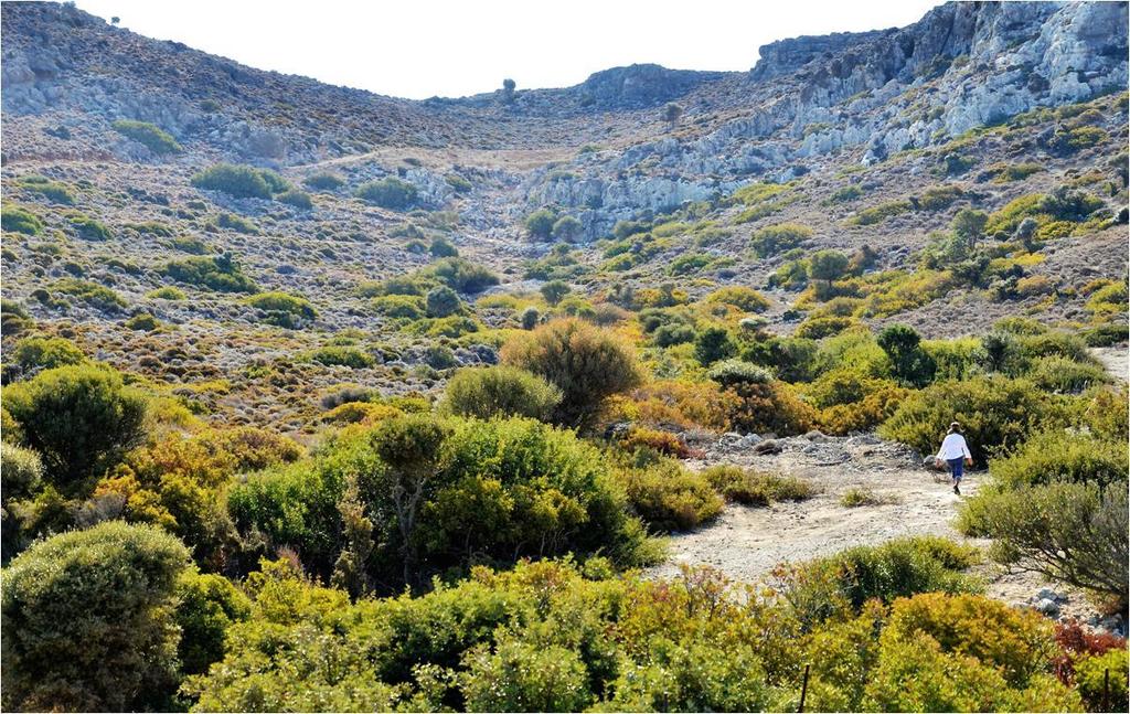 Αρδευτικές πρακτικές των