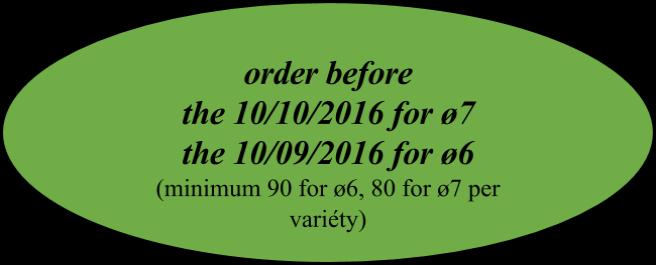 Plants in little pot 2016/2017 BT : Balcony and terrace Price < 1 euros Price > 1 euros Q=Quantity per CS : ground cover variéty ø4,ø5 ø5.5, ø6, ø7 ø4,ø5 ø5.