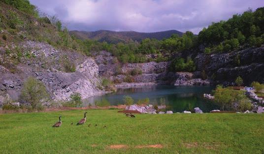 26 Επισκόπηση δραστηριοτήτων Επιδόσεις Ομίλου Επιδόσεις γεωγραφικών τομέων Εταιρική διακυβέρνηση Δέσμευση για μακρόπνοη βιώσιμη ανάπτυξη Επενδύουμε σταθερά σε πρωτοβουλίες περιβαλλοντικής