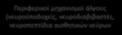 Περιφερικοί μηχανισμοί άλγους (νευροϋποδοχείς, νευροδιαβιβαστές,