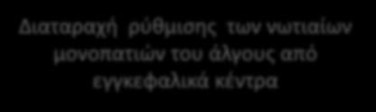 σπλαχνικού άλγους) Μηχανισμοί ΧΠΑ Γενετικοί παράγοντες (προδιάθεση