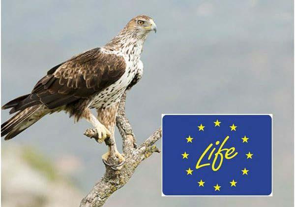 #2 LIFE Bonelli east Med LIFE17 NAT/GR/000514 Διάρκεια: 54 Μ (01-09-2018 έως 28-02-2023) Συνολικός Προϋπολογισμός: 4,235,584.00 EE χρηματοδότηση: 3,174,403.