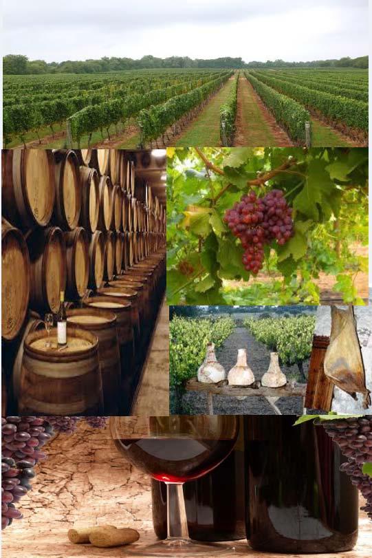 WINEC-Advanced systems for the enhancement of the environmental performance of WINEries in Cyprus LIFE08 ENV/CY/000455 Διάρκεια: 01/02/2010-31/10/2012 Συνολικός
