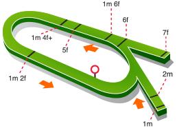 050 20 FREE BETS AT TOTESPORT.COM CLASSIFIED STAKES 6.569 - Ίπποι 4 ετών & άνω, Κλάση 6, Επίπεδη, Allweather PASS THE CRISTAL (IRE) 57 Martin Dwyer O'Mulloy/Schwartz 9 οεκτ.