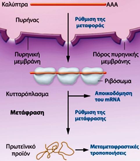 Τροποποιήσεων του DNA: Me σε κυτοσίνες (5mC), 5υδροξυ-mC 2. Τροποποιήσεων των Ιστονών: Me, Ac, Ph, Ub, Su, κλπ 3. Μη κωδικών RNA: pirnas, lncrnas, mirnas 4.