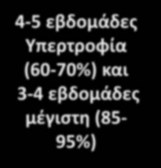 Υπερτροφία (60-70%)