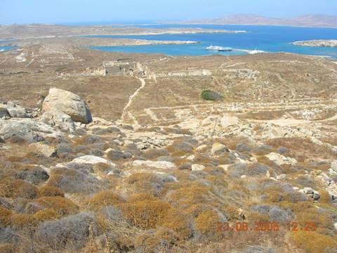 Τα δασικά