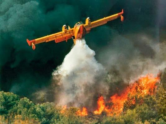 Γρηγοριάδης Τακτικός Δασολόγος-Ερευνητής ΕΛΓΟ-ΔΗΜΗΤΡΑ / Ινστιτούτο Δασικών Ερευνών Θεσνίκης & πρόεδρος Ελληνικής Δασολογικής Εταιρείας (ΕΔΕ) Tο Φυσικό Περιβάλλον και ιδιαίτερα τα