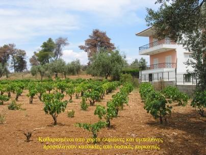 Με τον τρόπο αυτό θα υπάρχουν συγκεκριμένες προϋποθέσεις που πρέπει να πληροί κάθε κτίσμα, ώστε να προστατεύεται από τη φωτιά. 2.