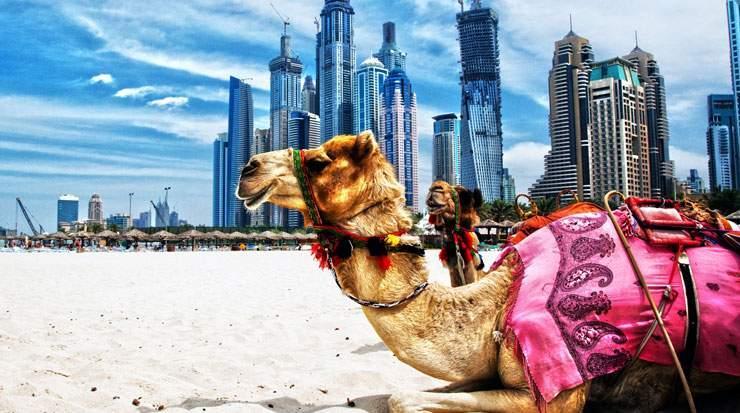 Το Dubai αποτελεί το πιο σύγχρονο εμπορικό κέντρο των Εμιράτων με μοναδικό συνδυασμό πολιτισμικών επιρροών, το υψηλότερο βιοτικό επίπεδο καθώς επίσης και τις πιο άρτια οργανωμένες τουριστικές