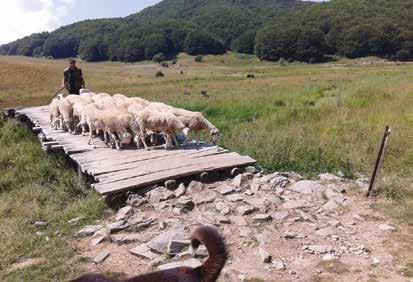 ΥΓΕΙΑ ΚΑΙ ΕΥΖΩΙΑ 29 Πηγή: ιδιωτική συλλογή Θ. Λάζου ντος μέσα στο οποίο ζει.