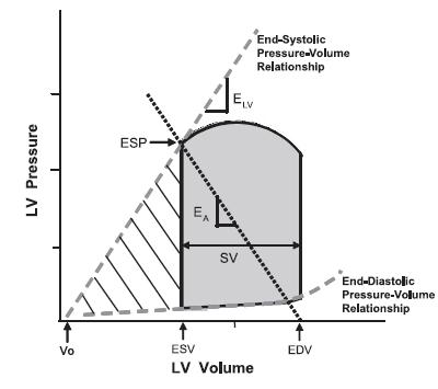 VENTRICULOARTERIAL