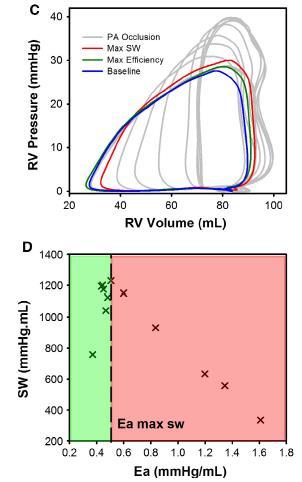 VENTRICULOARTERIAL COUPLING - RV Low Ees/Ea