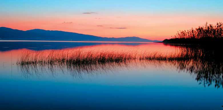 THE WESTERN GREECE COLLECTION INSPIRATIONS The Greek Wetlands