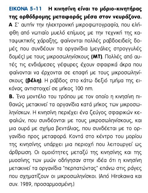 Άξονα: - κοντά στο