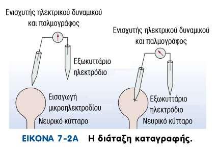 ΜΙΚΡΟ-ΗΛΕΚΤΡΟΔΙΟ