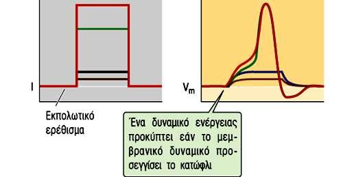 Δυναμικό