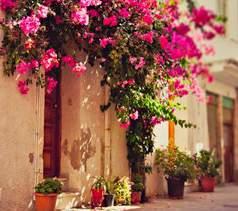 5 ανα δωμάτιο ανα διανυκτέρευση SIRIOS VILLAGE LUXURY HOTEL 4* ALL INCLUSIVE ( ΚΆΤΩ ΔΑΡΆΤΣΟ ) ΠΕΡΊΟΔΟΣ 21/06-20/07 //