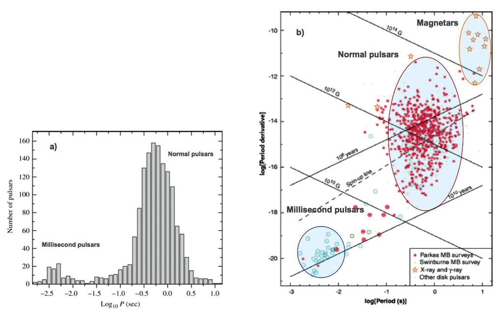 Eur. Phys. J. Plus (2018) 133: 445 Page 7 of 21 Fig. 2. Pulsar rotational period distribution (a) and P P diagram (b).