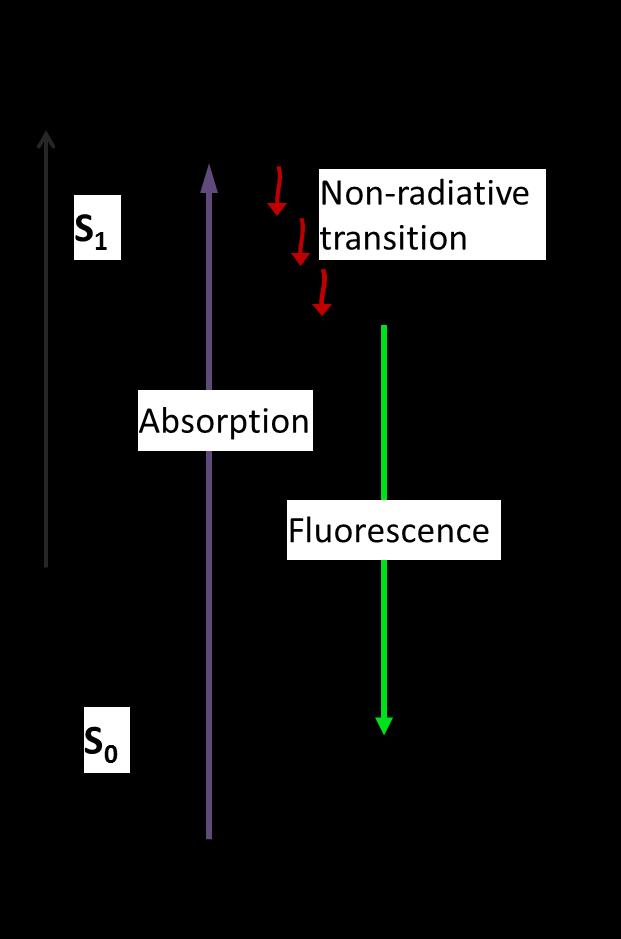 Το διάγραμμα Jablonski για φθορισμό Χρόνος απορρόφησης: ~1 fs = 10-15 s 0.3 μm Χρόνος δονητικής αποδιέγερσης: ~1 ps = 10-12 s 0.