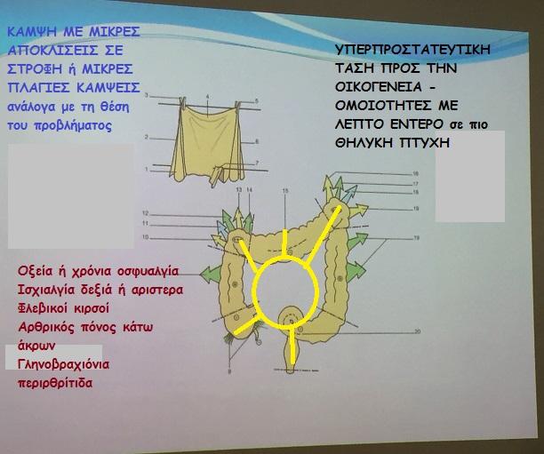του παρατηρήσεων στη συμπεριφορά και τις αντιδράσεις ασθενών με συγκεκριμένες διαταραχές. Έτσι καθιέρωσε μερικές βασικές αρχές.