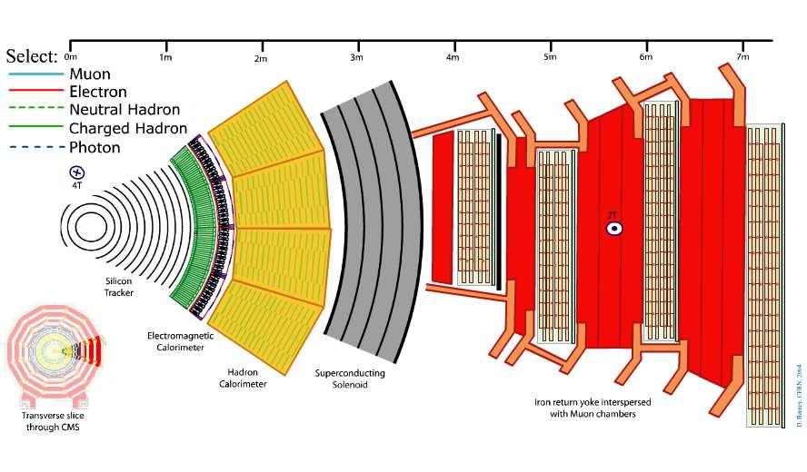 Εγκάρσια τοµή του ανιχνευτή CMS Click on a particle type