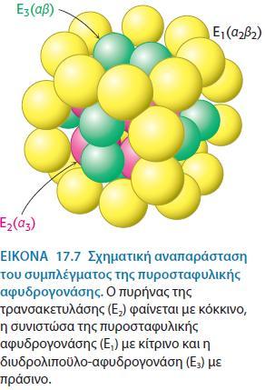 διάφορες χημικές ομάδες, που συνδέονται στον πυρήνα της δομής με