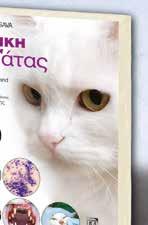 Auris Nasus Larynx 2003, 30: 447 451. 8. Liu SK, Dorfman HD, Patnaik AK. Primary and secondary bone tumours in the cat. J Small Anim Pract 1974, 15: 141 156. 9. Jabara AG, Paton JS.
