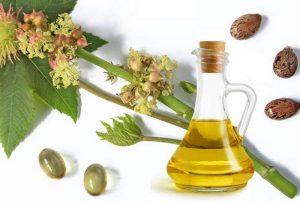 Καστορέλαιο για ομορφιά και υγεία Καστορέλαιο το λάδι που θεραπεύει από έξω προς τα μέσα Το καστορέλαιο, ρητινέλαιο, κικινέλαιο ή ρετσινόλαδο είναι είδος φυτικού ελαίου που παράγεται από το τροπικό