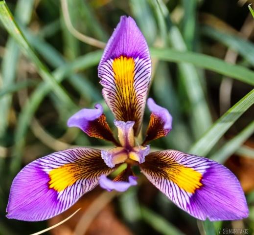 Natura Themis Ημερίδα