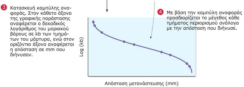 περιορισμού: ο χάρτης που