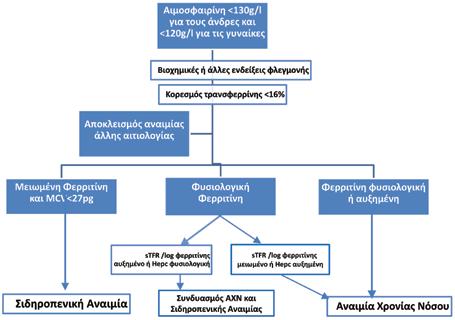 28 Μ. Ξημέρη et al Εικόνα 4. Αλγόριθμος διαφορικής διάγνωσης ΑΧΝ και σιδηροπενικής αναιμίας. (Τροποποιημένη από 37 ).