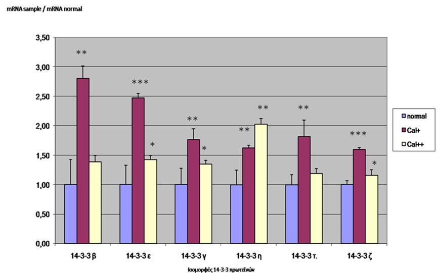 Εικόνα 37: Ποσοτική αλυσιδωτή αντίδραση πολυμεράσης αντίστροφης μεταγραφάσης (qrt-pcr) για τις ισομορφές β, ε, γ, η, τ και ζ των 14-3-3 πρωτεϊνών στις κυτταρικές σειρές ΗΚ-2.