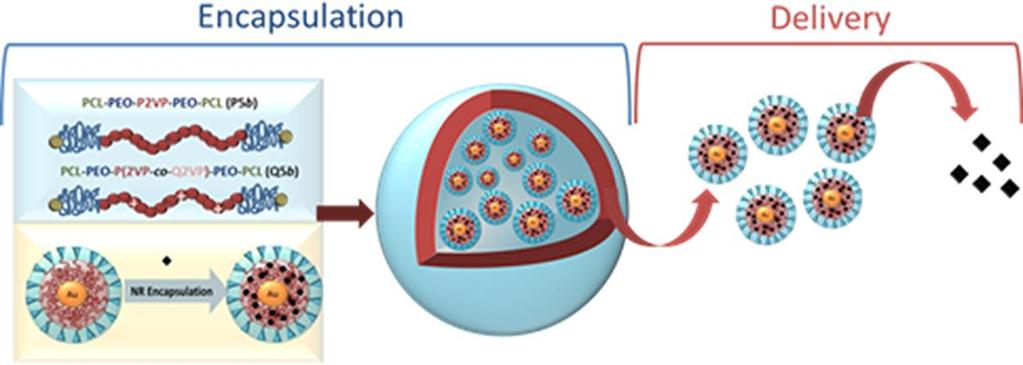 ph-responsive POLYMERSOMES ENCAPSULATING PACLITAXEL-LOADED GOLD