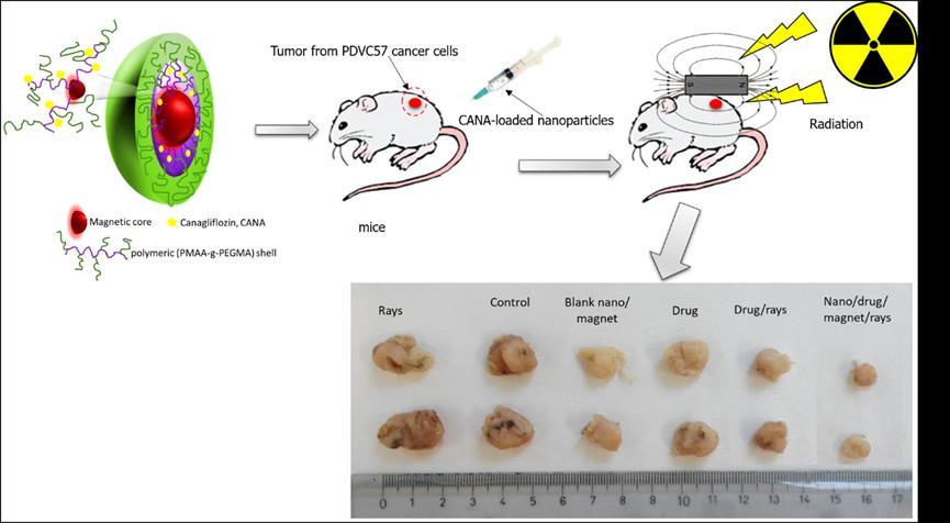 Canagliflozin-loaded magnetic nanoparticles as potential treatment of hypoxic