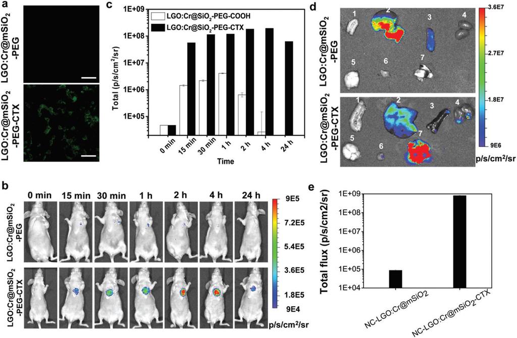 LiGa5O8:Cr-based theranostic nanoparticles for