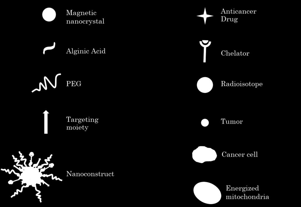 Cancer Theranostics