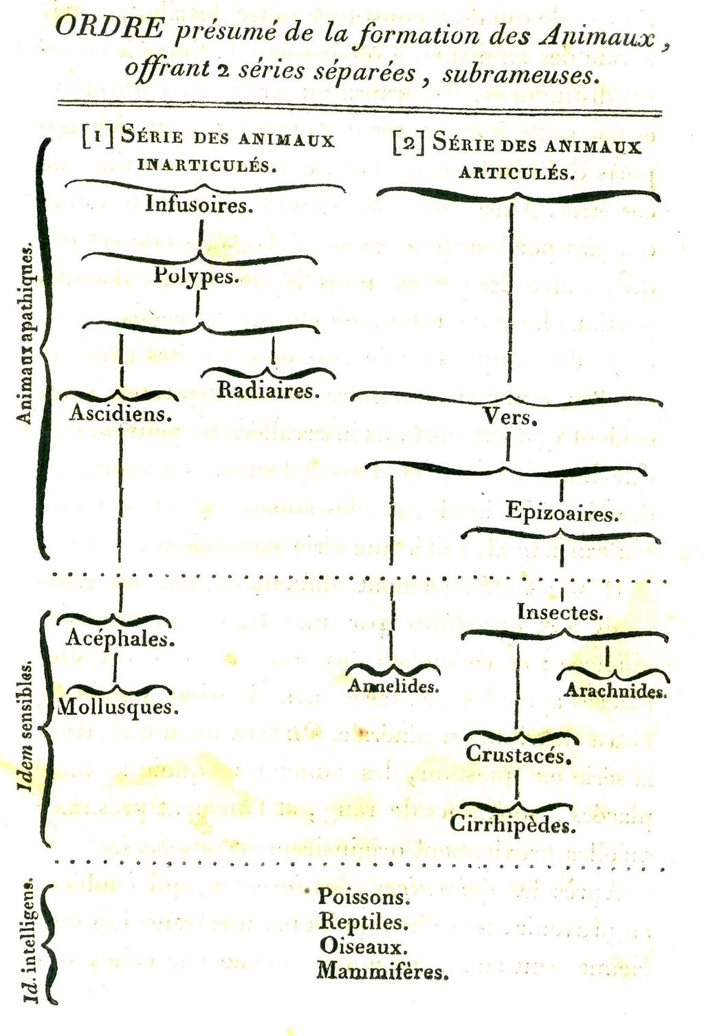 H εξέλιξη των ζώων κατά τον Lamarck, όπως