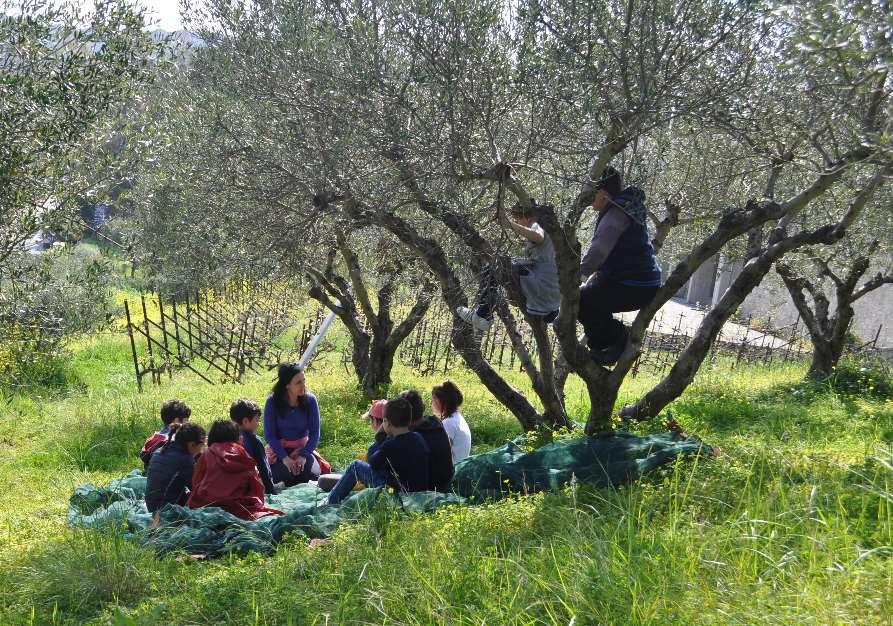 Έξοδος στο Πεδίο Ελαιώνας 15