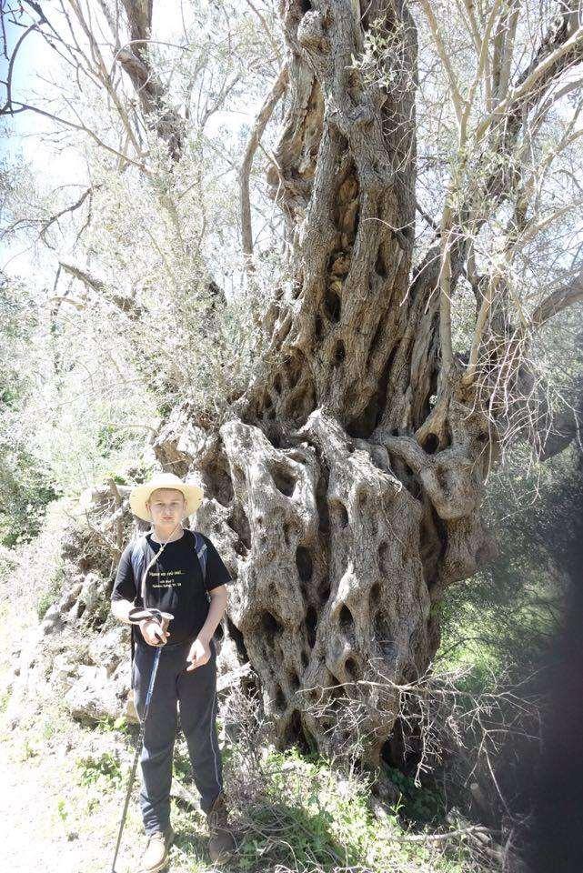 Λόγοι Ανάπλασης: Προστασία πατρογονικής