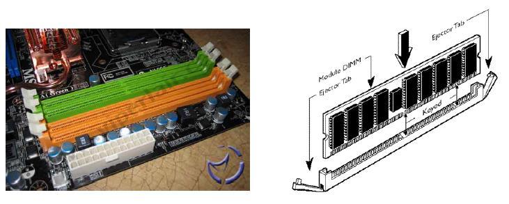 Μνήμη RAM Τα αρθρώματα (DIMMs) της μνήμης RAM εγκαθίστανται στις αντίστοιχες υποδοχές της μητρικής πλακέτας.